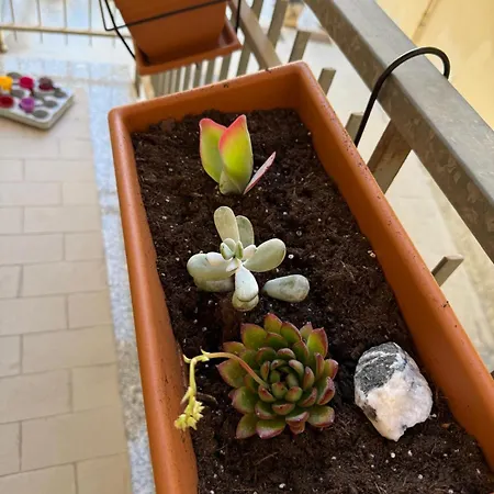 Appartamento Arancello *